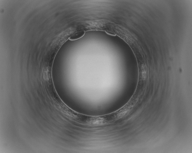 X0000068810514200605051148