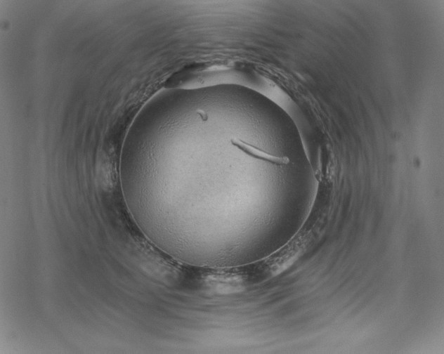 X0000068810515200605051148