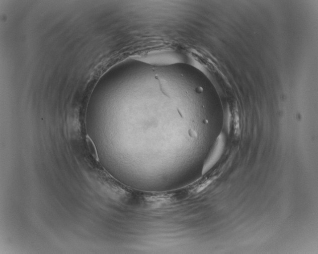 X0000068810516200605051148