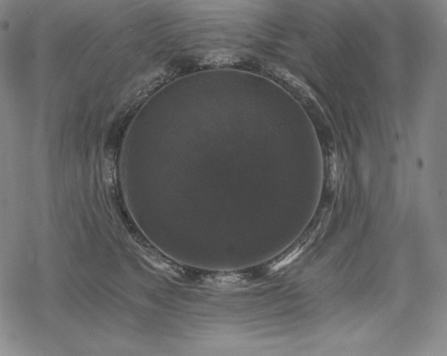 X0000068810517200605051148