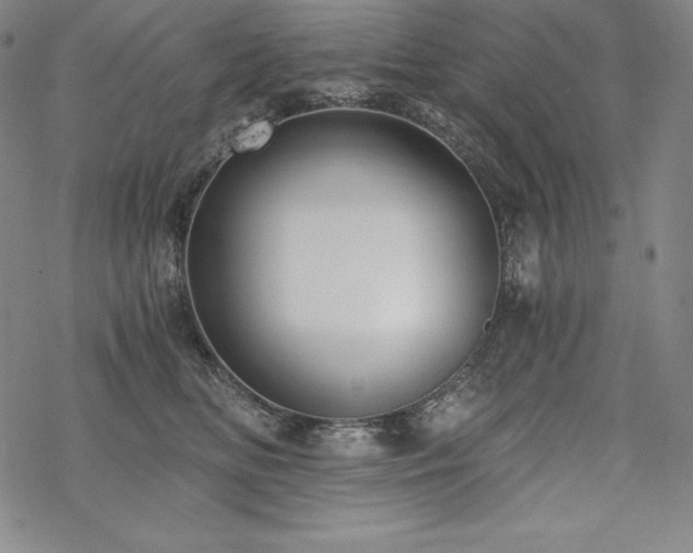 X0000068810518200605051148