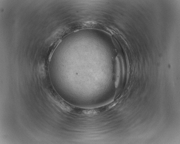 X0000068810520200605051148