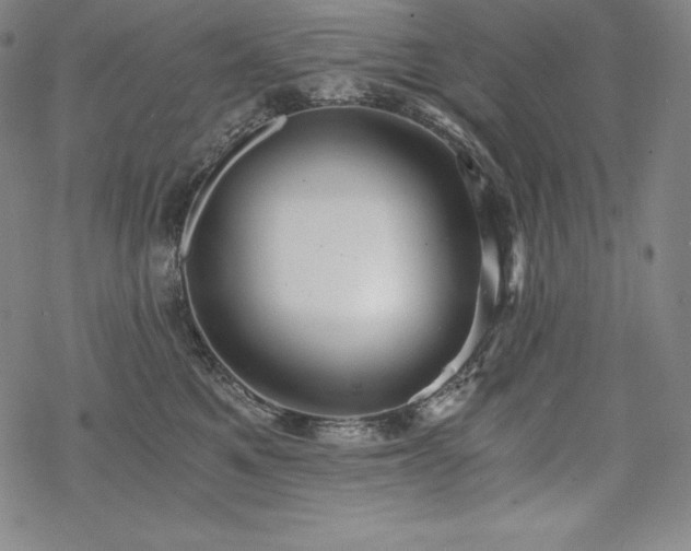 X0000068810521200605051148