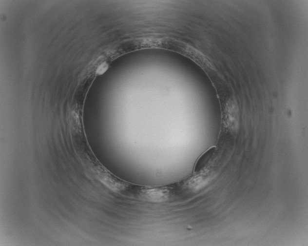 X0000068810522200605051148