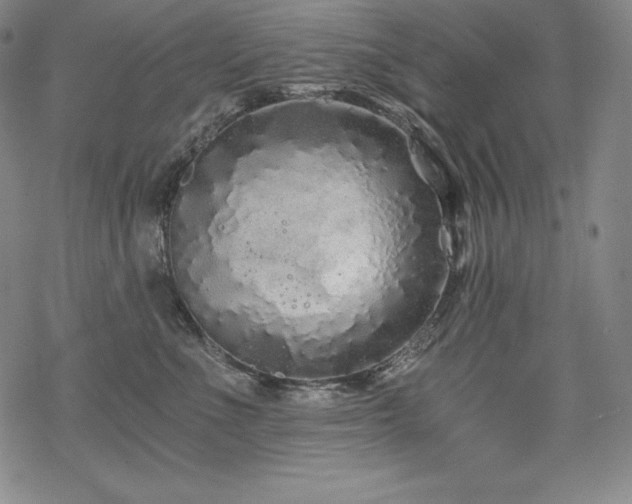 X0000068810523200605051148