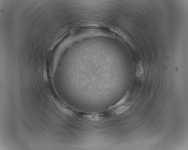 X0000068810524200605051148