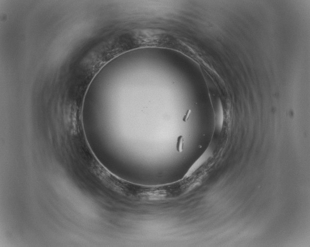 X0000068810525200605051148