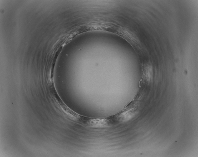 X0000068810526200605051148