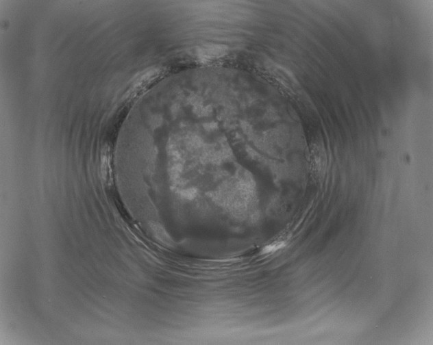 X0000068810527200605051148