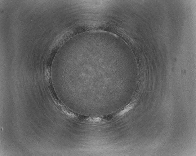 X0000068810528200605051148