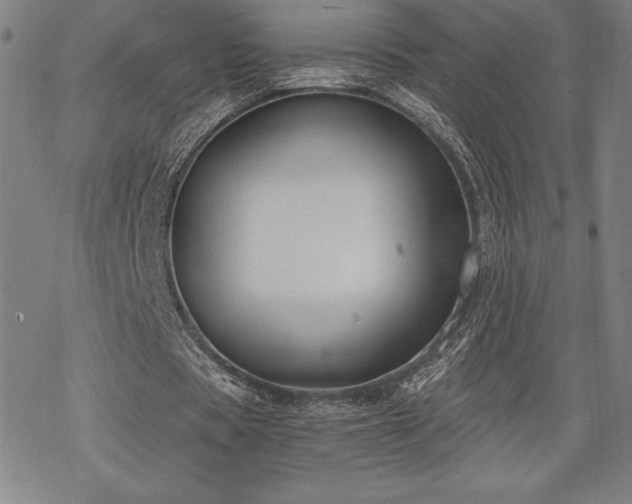 X0000068810529200605051147