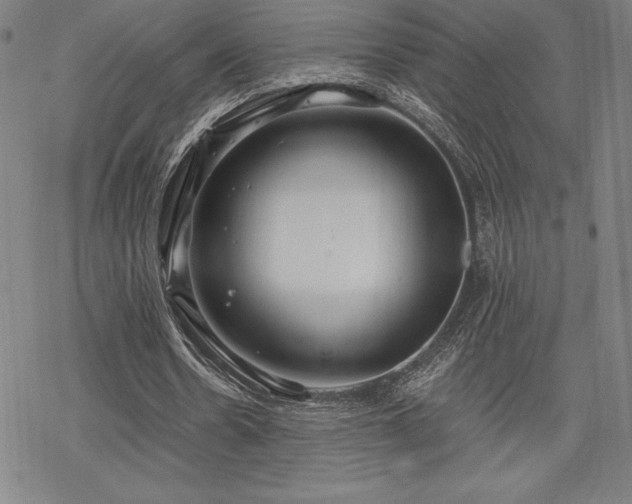 X0000068810530200605051147