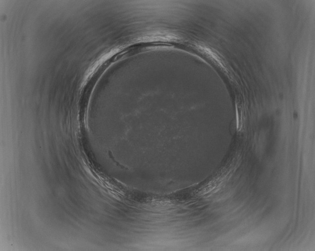 X0000068810531200605051147