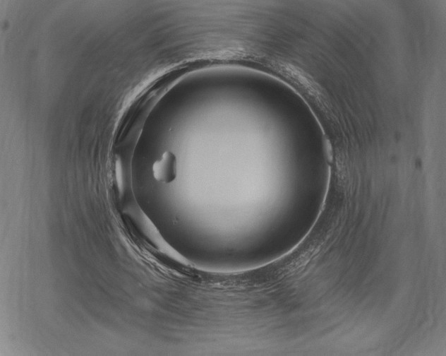 X0000068810532200605051147