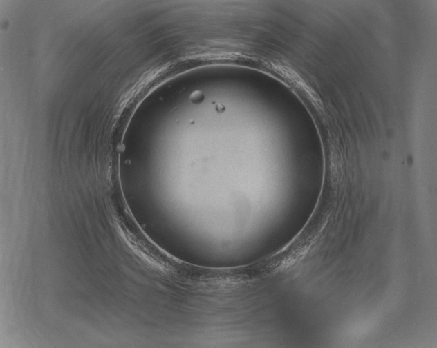 X0000068810533200605051147