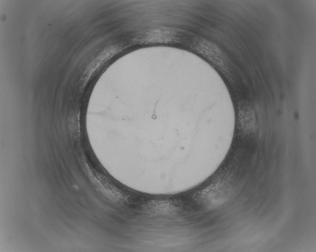 X0000068810534200605051147