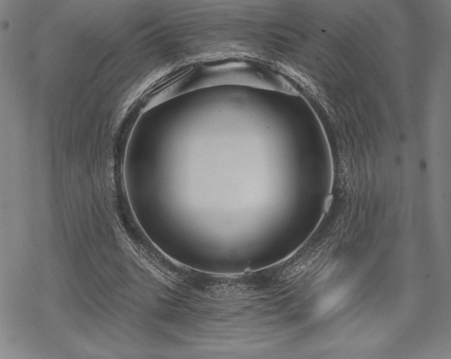 X0000068810535200605051147