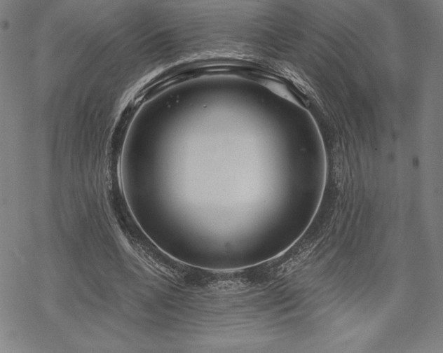 X0000068810536200605051147