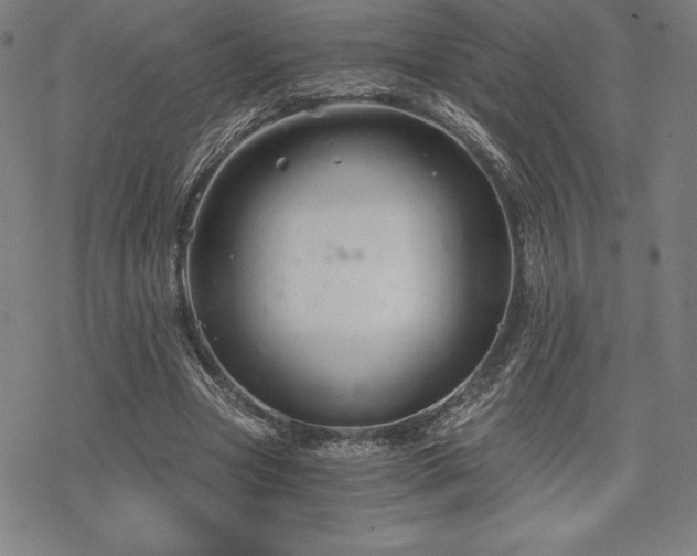 X0000068810537200605051147