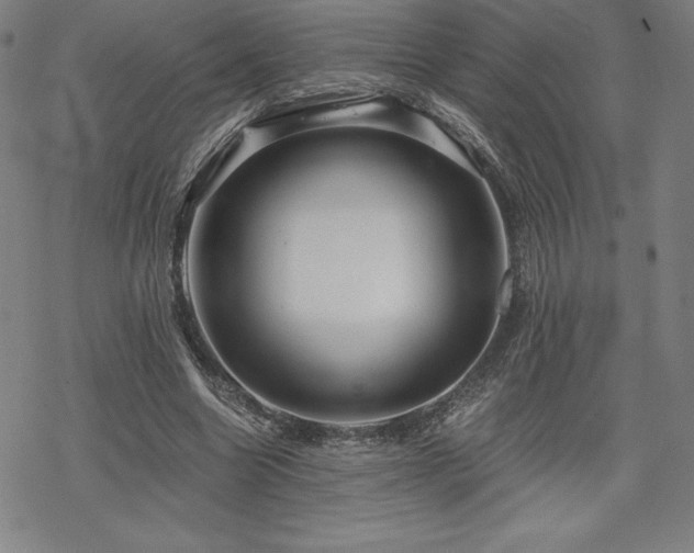 X0000068810538200605051147