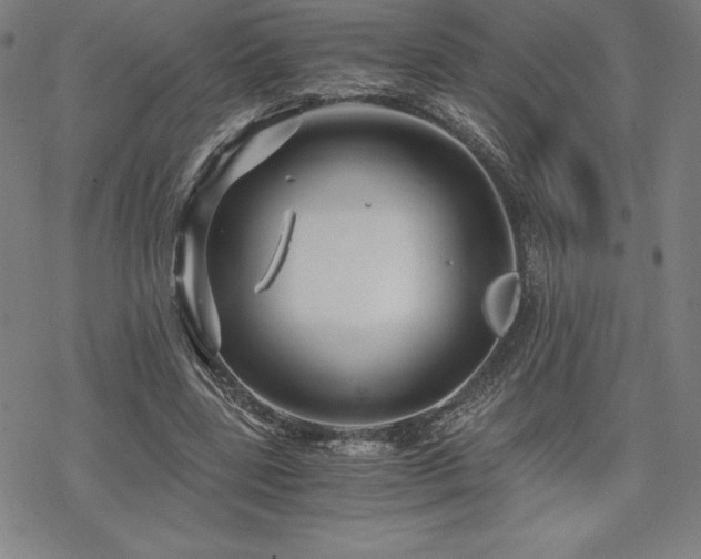 X0000068810539200605051147