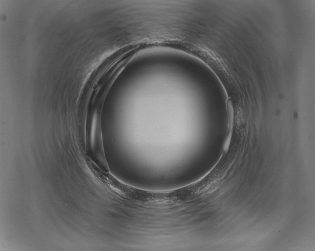 X0000068810540200605051147