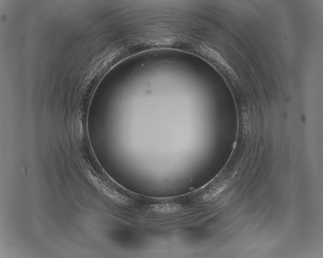 X0000068810541200605051147