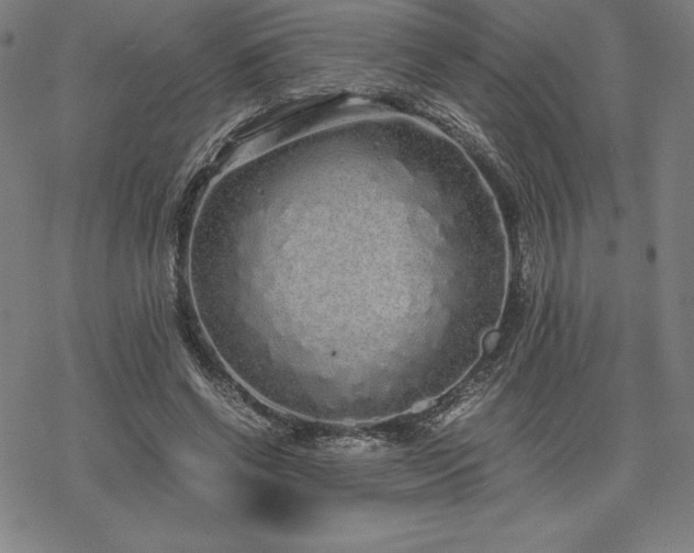 X0000068810542200605051147