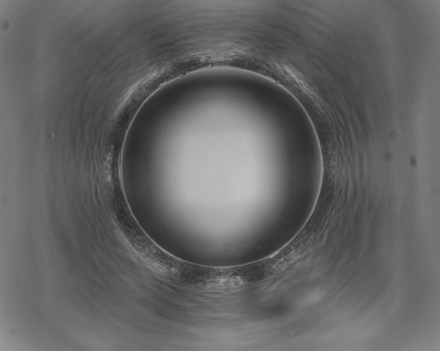 X0000068810543200605051147