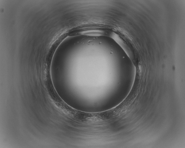 X0000068810544200605051148