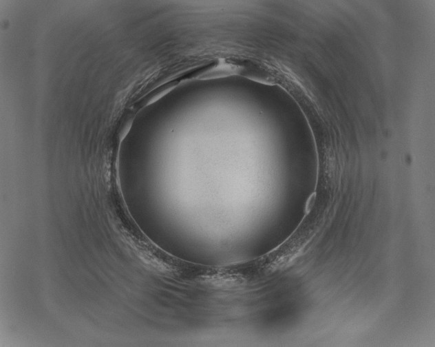 X0000068810545200605051148