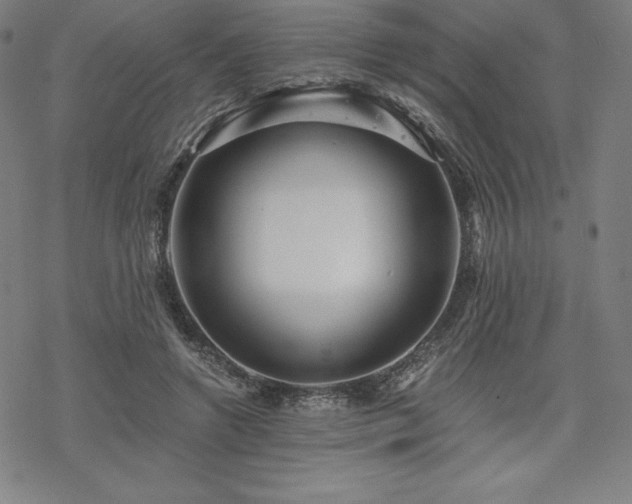 X0000068810546200605051148