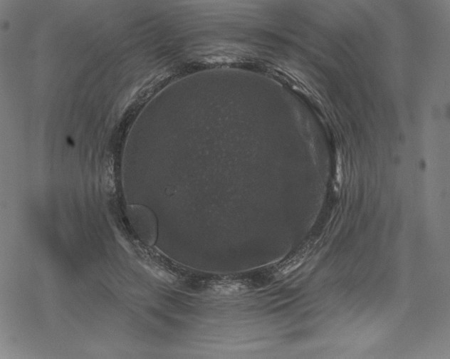 X0000068810547200605051148