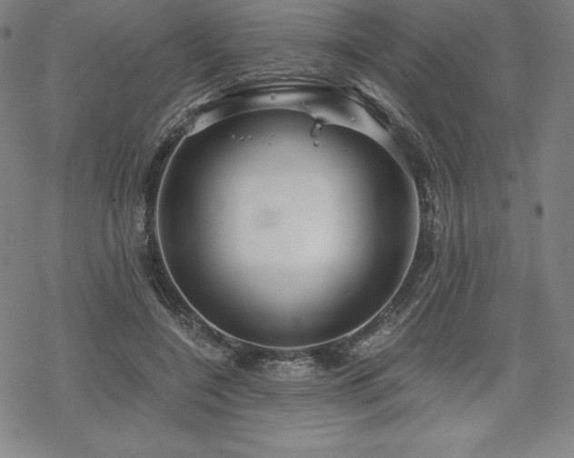 X0000068810548200605051148