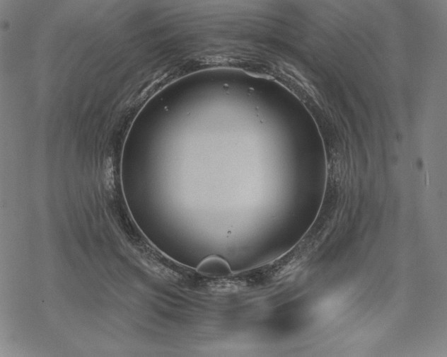 X0000068810549200605051148