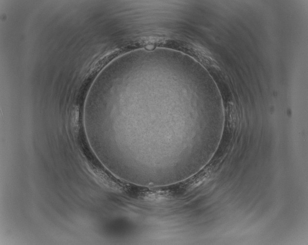 X0000068810550200605051148