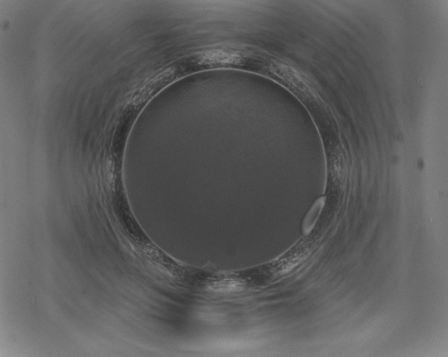 X0000068810551200605051148