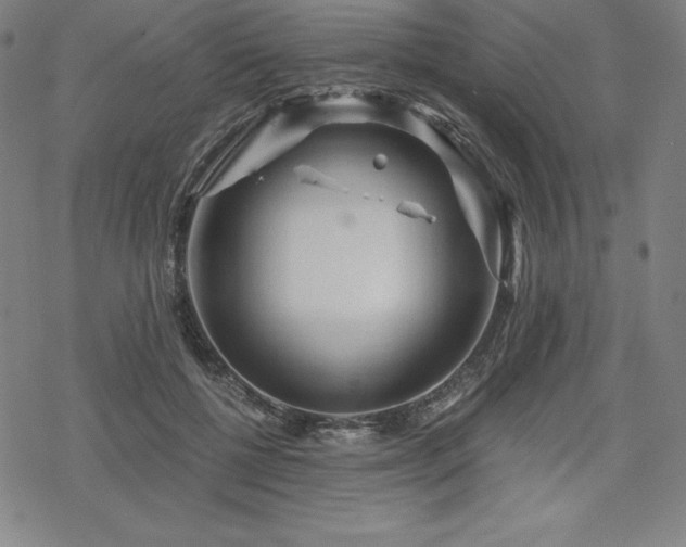 X0000068810552200605051148