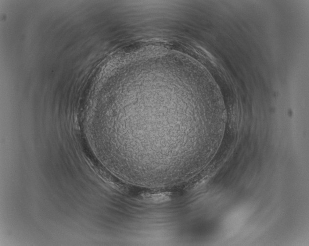 X0000068810553200605051148