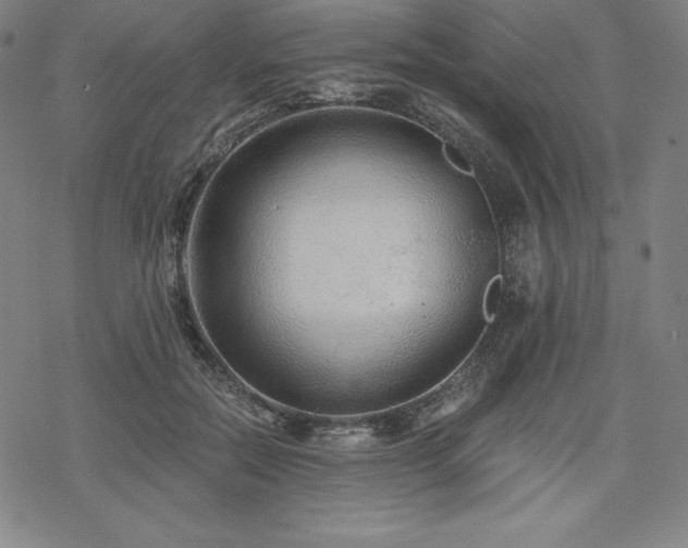 X0000068810554200605051148