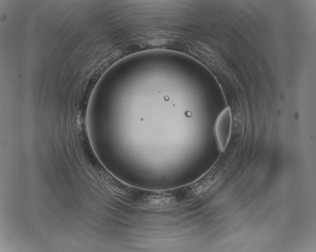 X0000068810555200605051148