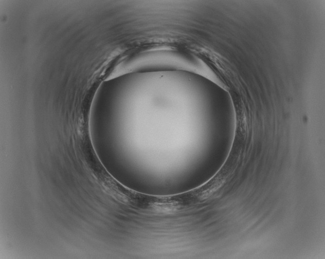 X0000068810556200605051148