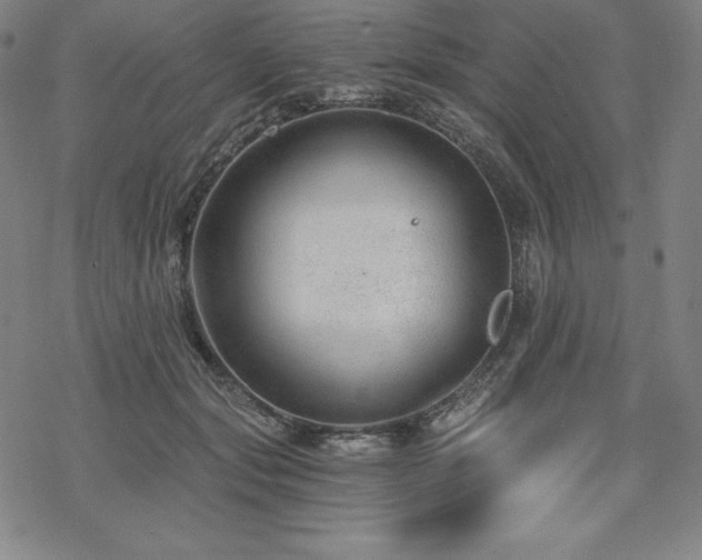 X0000068810557200605051148