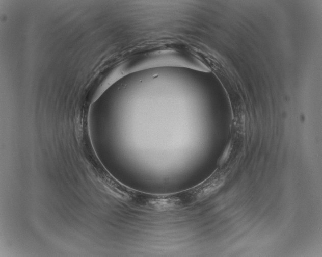 X0000068810558200605051148