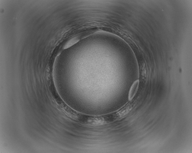 X0000068810559200605051148