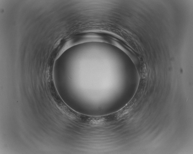 X0000068810560200605051148