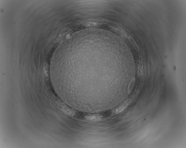 X0000068810561200605051148