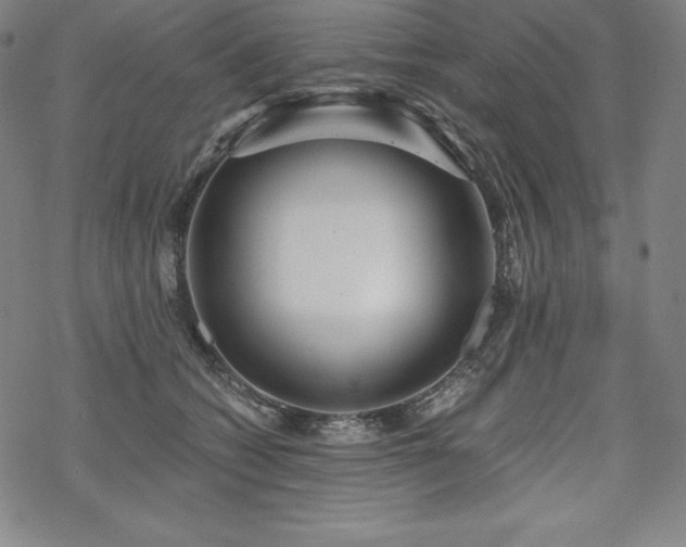 X0000068810562200605051148