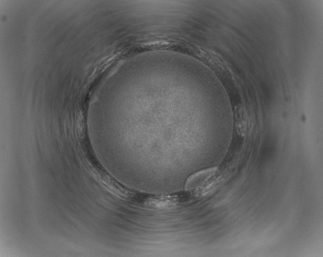 X0000068810563200605051148