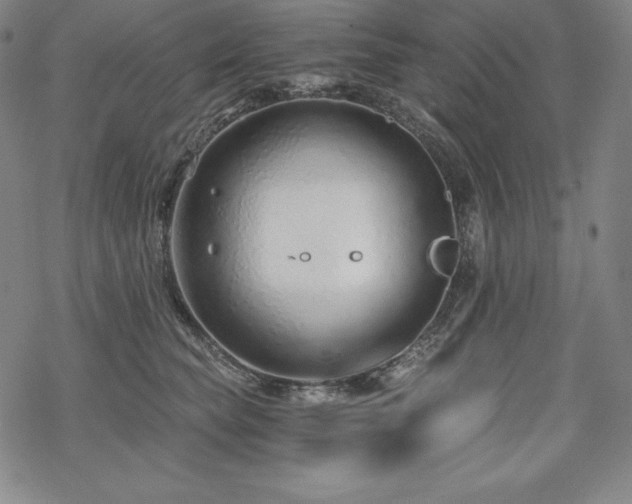 X0000068810565200605051148